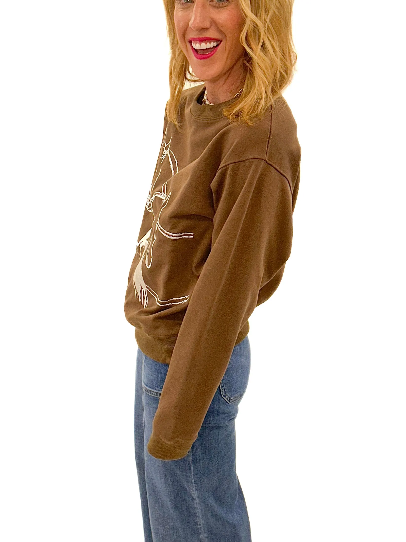 Horse Play Sweater In Brown